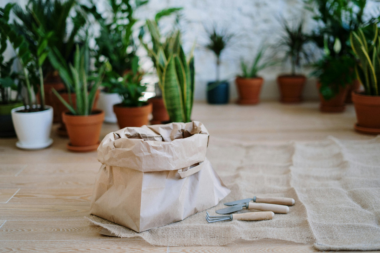 Outdoors & Gardening